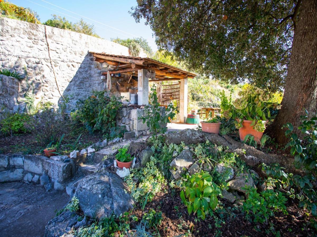 Čilipi Country House Bakicevo חדר תמונה