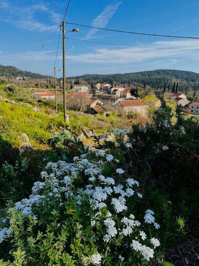 הוילה Čilipi Country House Bakicevo מראה חיצוני תמונה