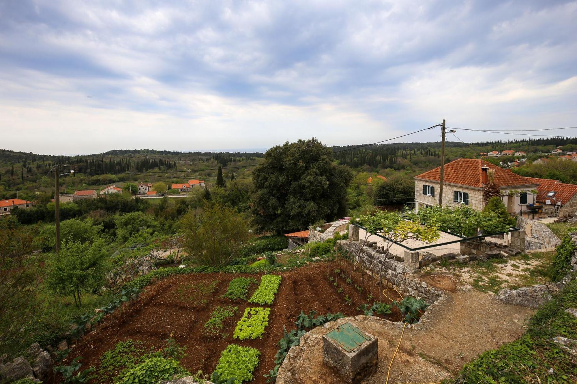 Čilipi Country House Bakicevo מראה חיצוני תמונה